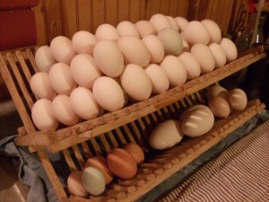 egg overload